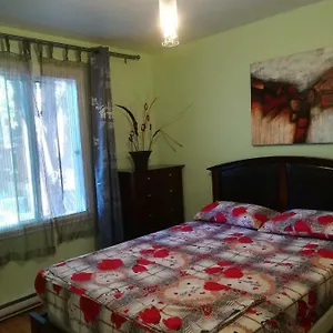 Authentic Apartment Montreal